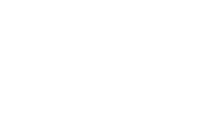 Electronic Board